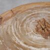Couchtisch versteinertes Holz 53464