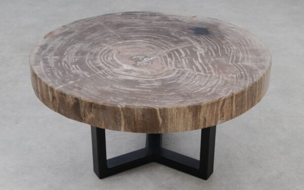 Couchtisch versteinertes Holz 53471