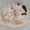 Couchtisch versteinertes Holz 53474