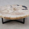 Couchtisch versteinertes Holz 53474