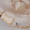 Couchtisch versteinertes Holz 53474