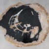 Couchtisch versteinertes Holz 53478