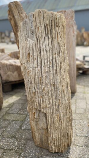 Grabstein versteinertes Holz 52035