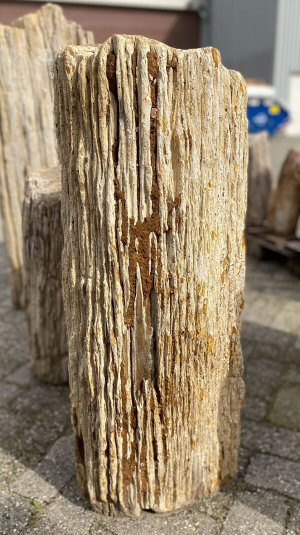 Grabstein versteinertes Holz 52035