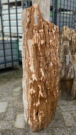 Grabstein versteinertes Holz 52052
