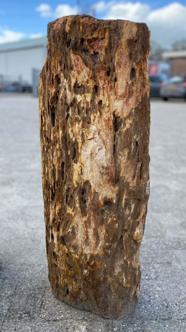 Grabstein versteinertes Holz 52054