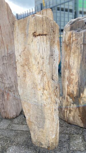 Grabstein versteinertes Holz 52072