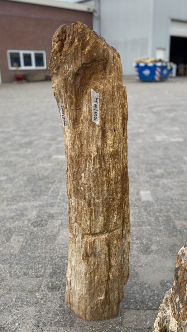 Grabstein versteinertes Holz 52170