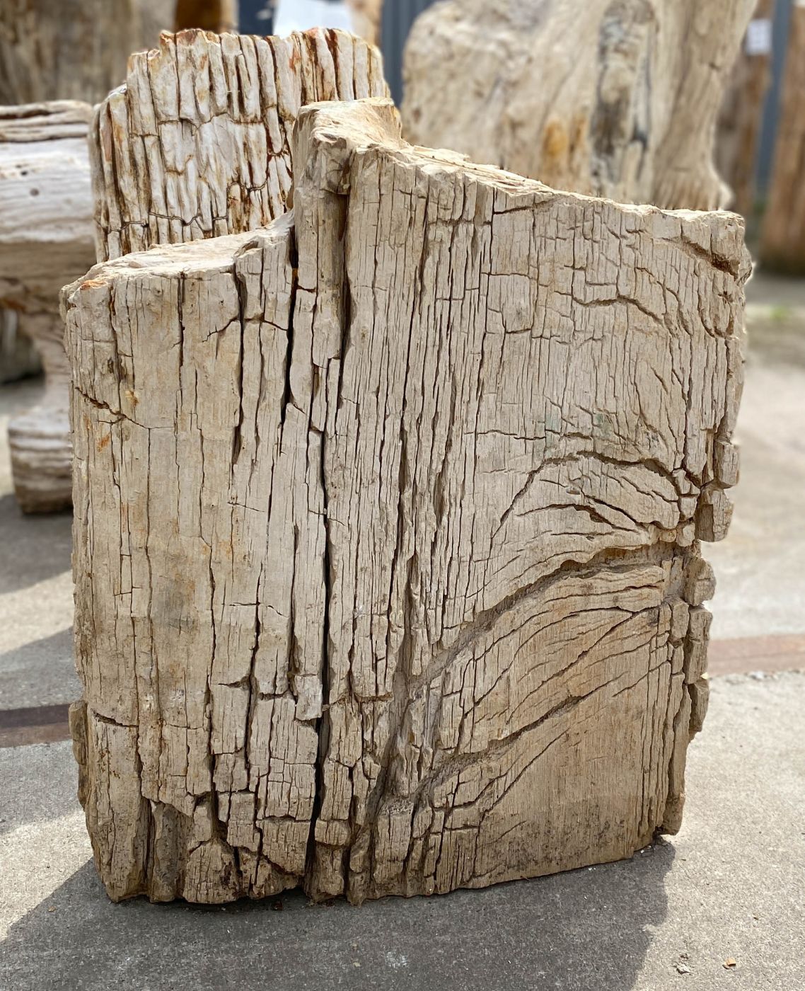 Grabstein versteinertes Holz 53096