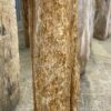 Grabstein versteinertes Holz 53108