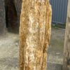 Grabstein versteinertes Holz 53108