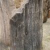 Grafsteen versteend hout 52030