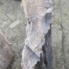 Grafsteen versteend hout 52030