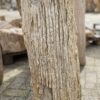 Grafsteen versteend hout 52035