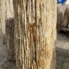 Grafsteen versteend hout 52035