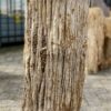 Grafsteen versteend hout 52035