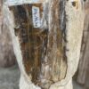Grafsteen versteend hout 52037