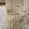 Grafsteen versteend hout 52037