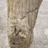 Grafsteen versteend hout 52037