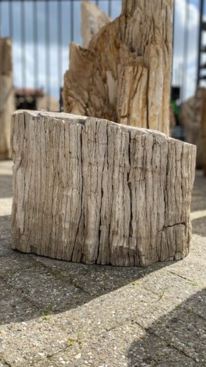 Grafsteen versteend hout 52140