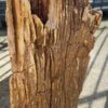 Grafsteen versteend hout 52157