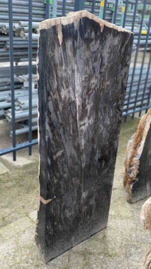 Grafsteen versteend hout 52168