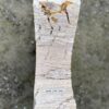 Grafsteen versteend hout 52184