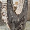 Grafsteen versteend hout 52184
