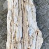 Grafsteen versteend hout 52349