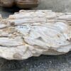 Grafsteen versteend hout 52349