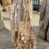 Grafsteen versteend hout 52351