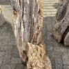 Grafsteen versteend hout 52351