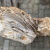 Grafsteen versteend hout 52351