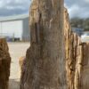 Grafsteen versteend hout 52351