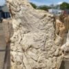 Grafsteen versteend hout 53074