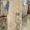 Grafsteen versteend hout 53105