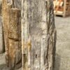 Grafsteen versteend hout 53105