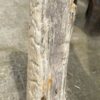 Grafsteen versteend hout 53105