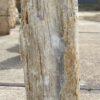 Grafsteen versteend hout 53111