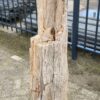 Lápida madera petrificada 52022