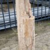 Lápida madera petrificada 52022