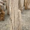Lápida madera petrificada 52022