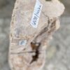 Lápida madera petrificada 52022