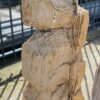 Lápida madera petrificada 52023