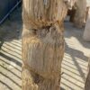 Lápida madera petrificada 52023