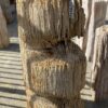 Lápida madera petrificada 52023