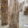 Lápida madera petrificada 52026
