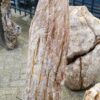 Lápida madera petrificada 52026
