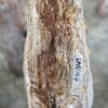Lápida madera petrificada 52026