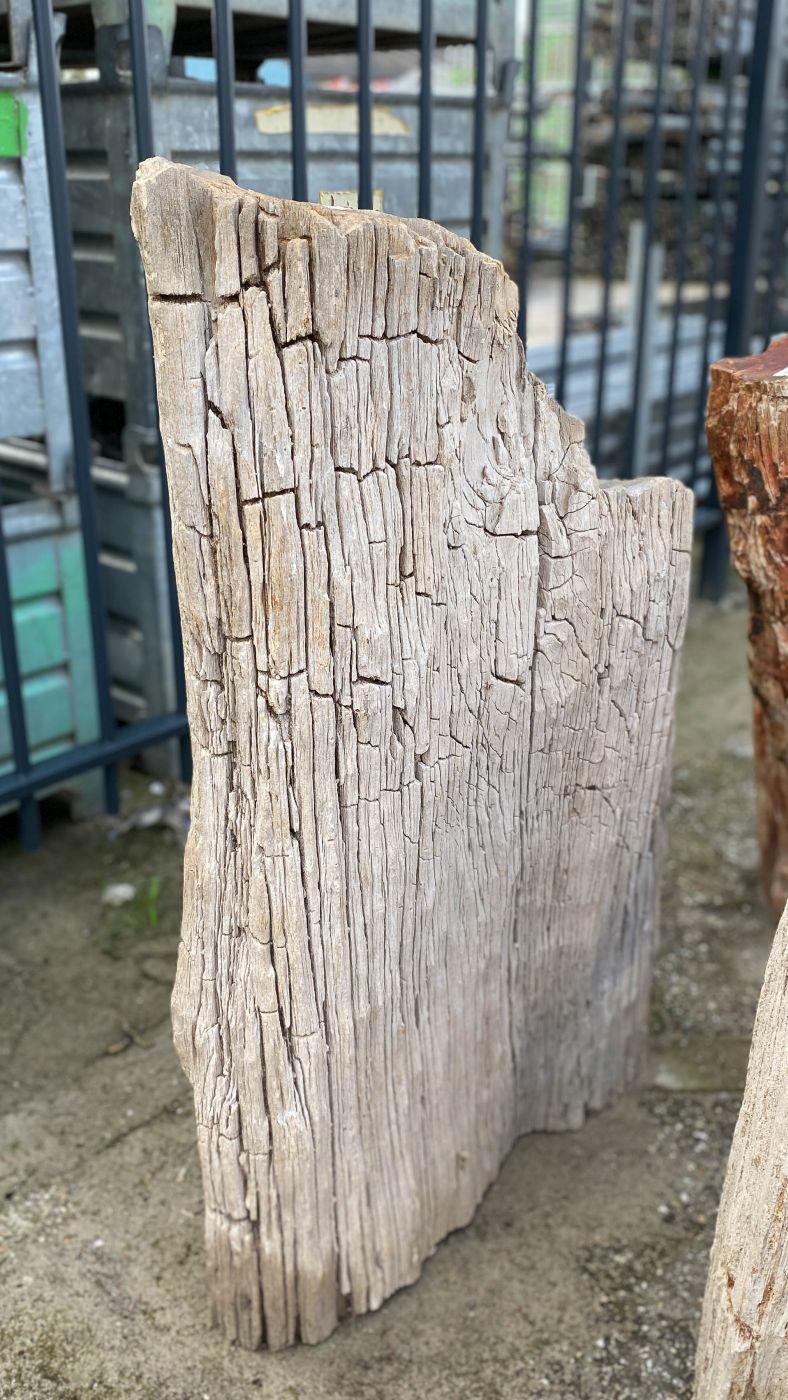 Lápida madera petrificada 52030